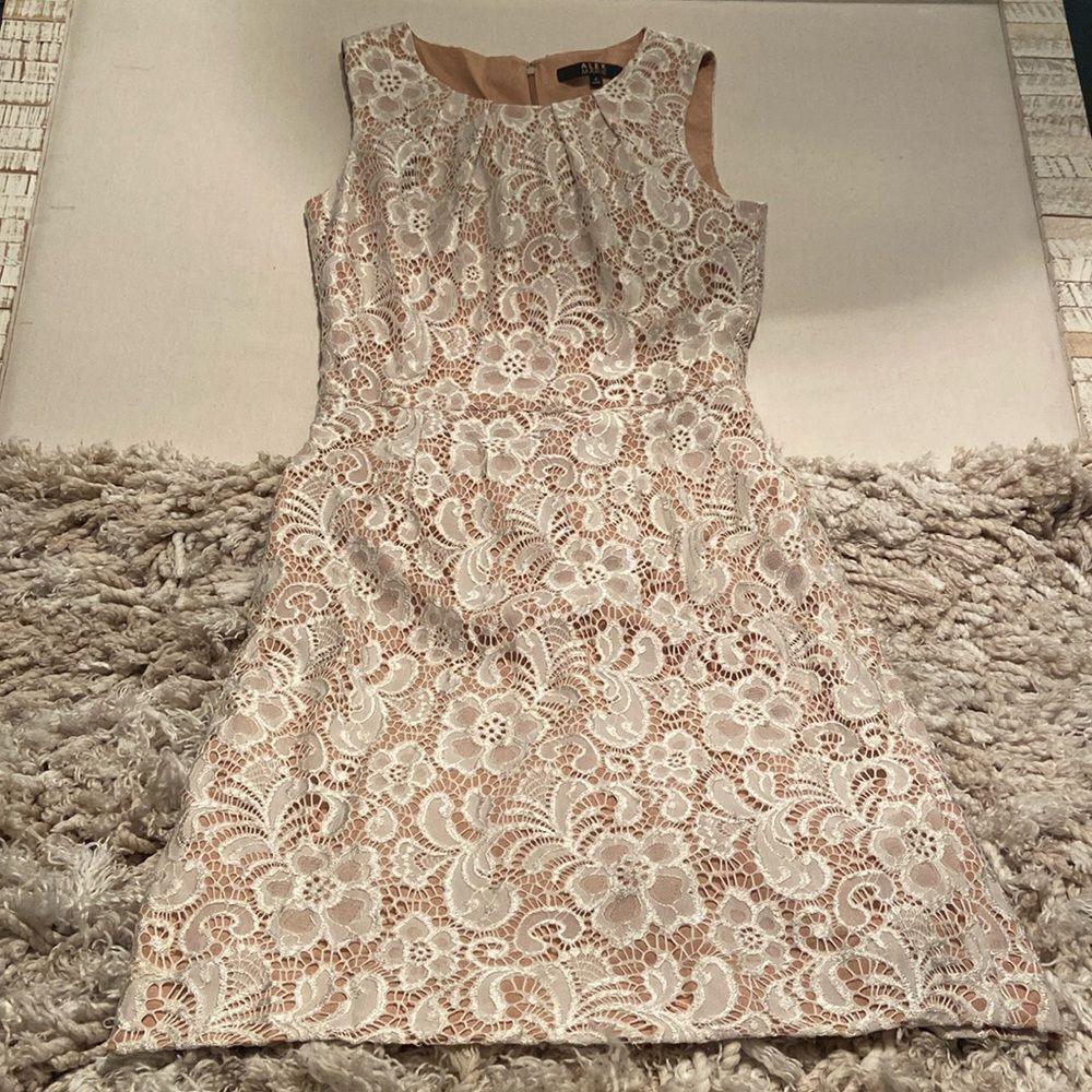 Alex Marie Lace sleeveless sheath dress Size 4